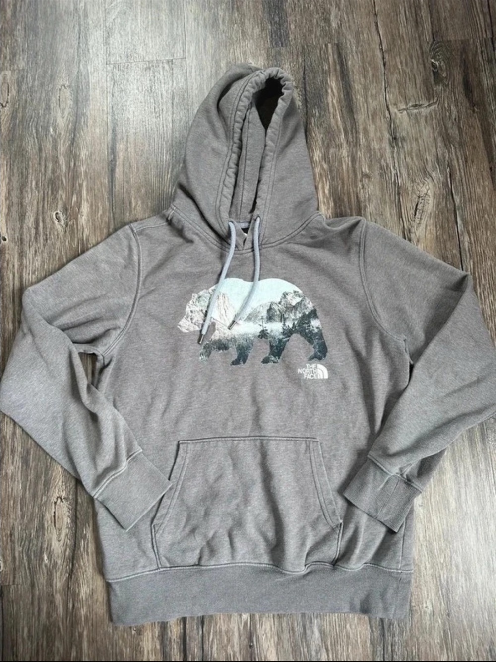 The North Face Men's Gray Bear Graphic Crewneck Hoodie
